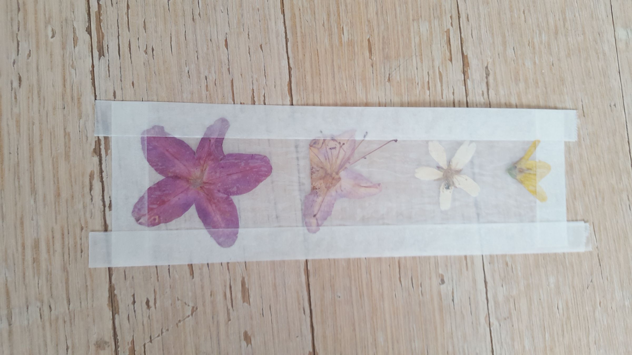 usernamepasarua How To Press Flowers With Wax Paper / Mother S Day