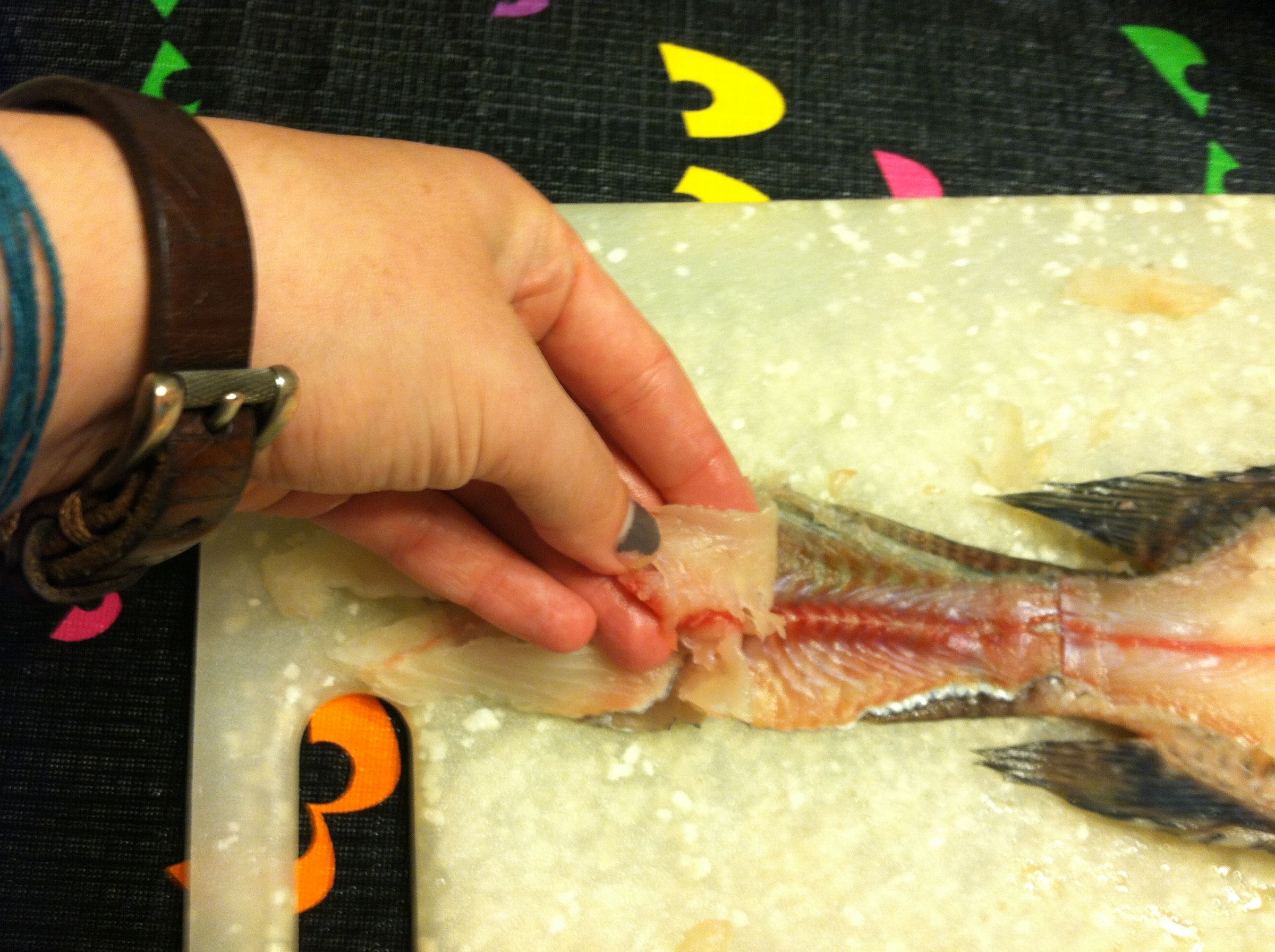 How to Clean a Fish 6 Steps (with Pictures) Instructables