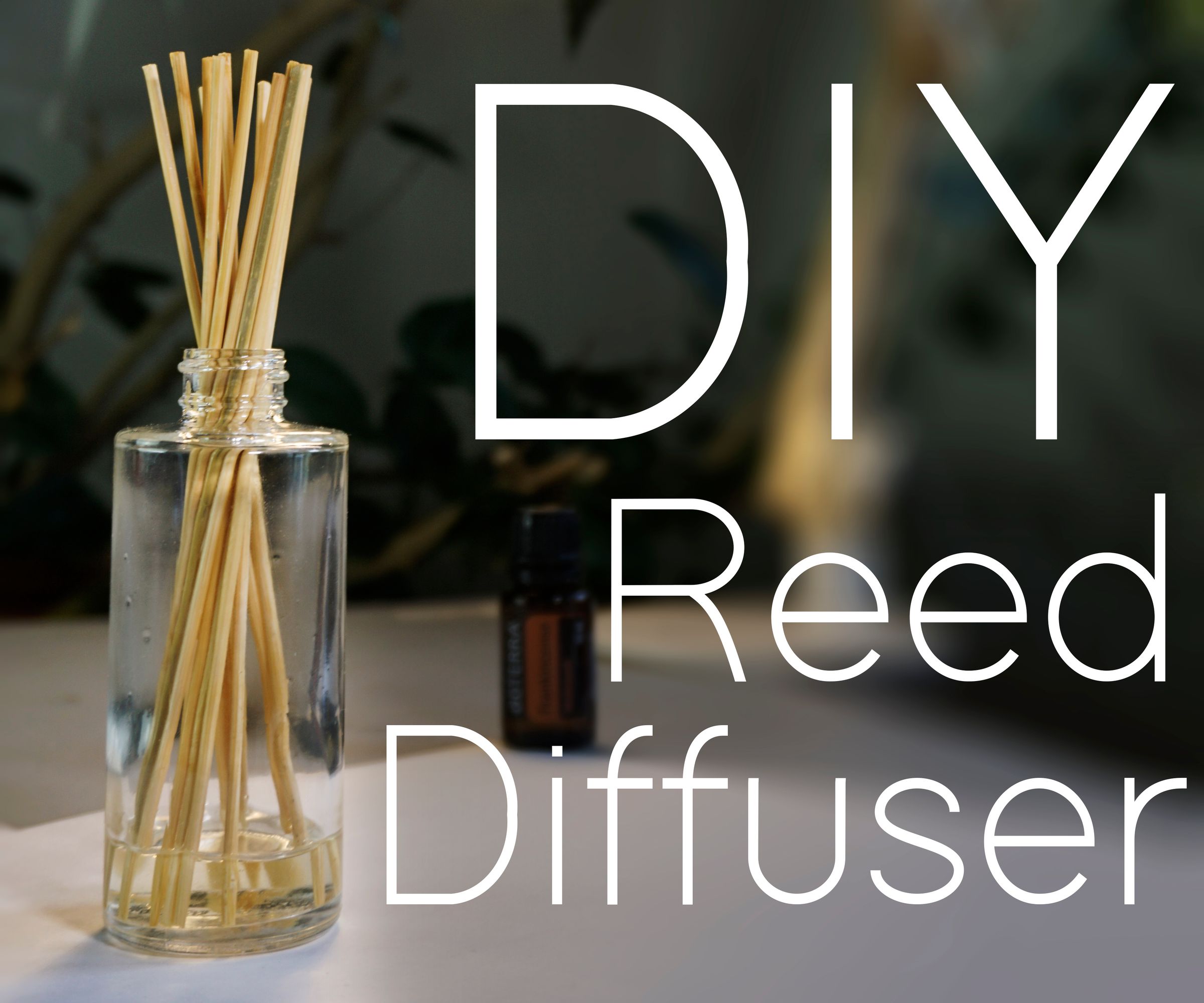 reed diffuser safe for cats