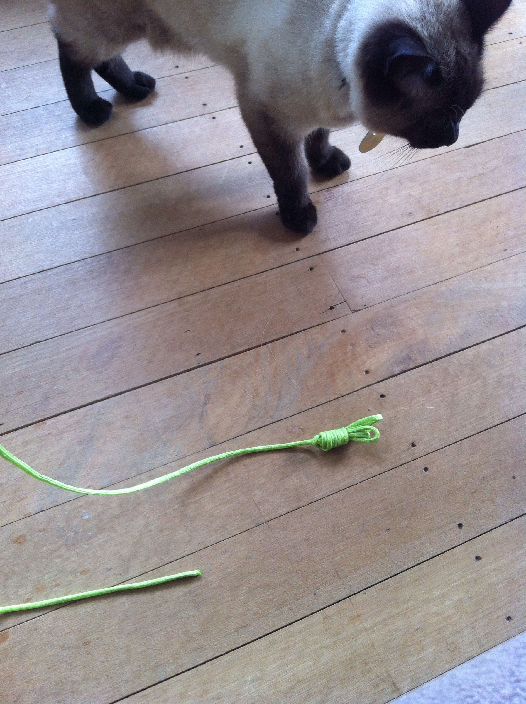 Paracord Cat Toy 5 Steps Instructables