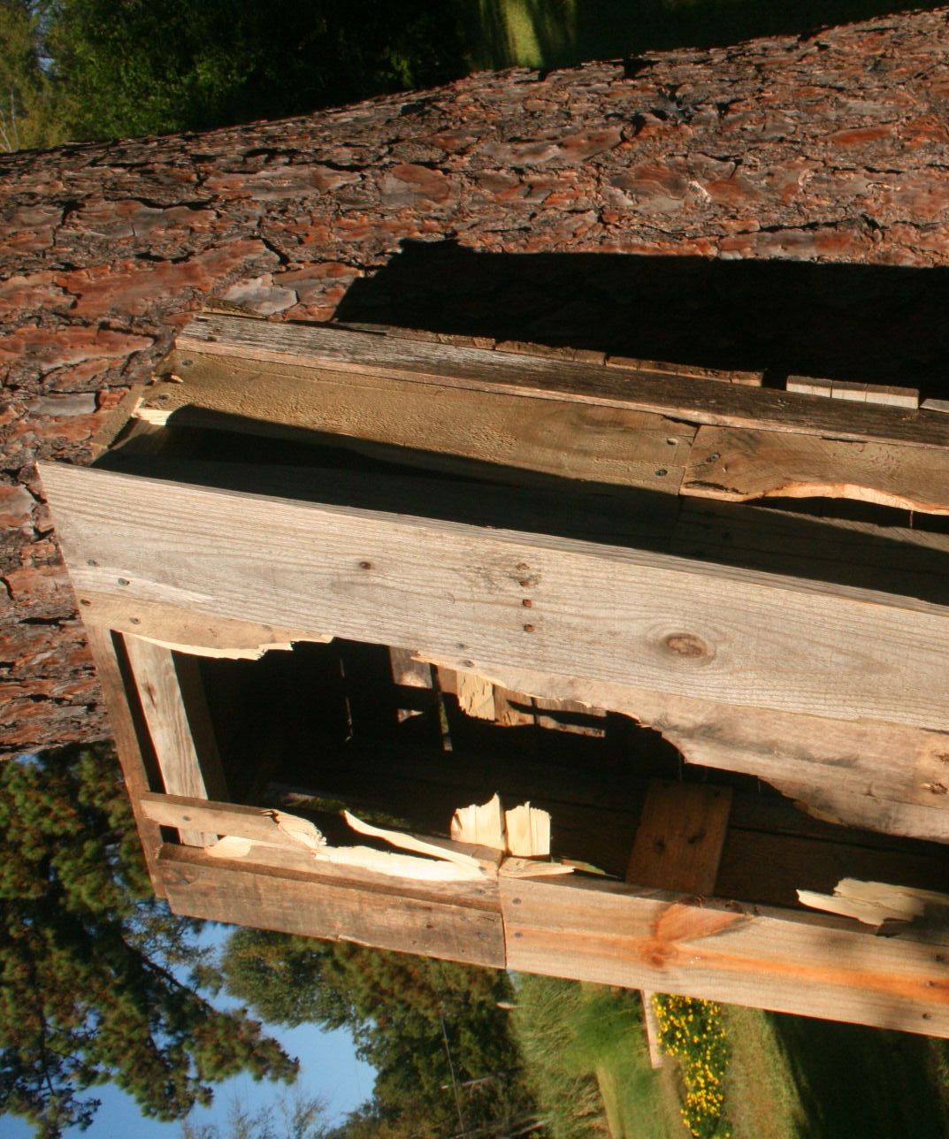 Horrible Halloween Coffin
