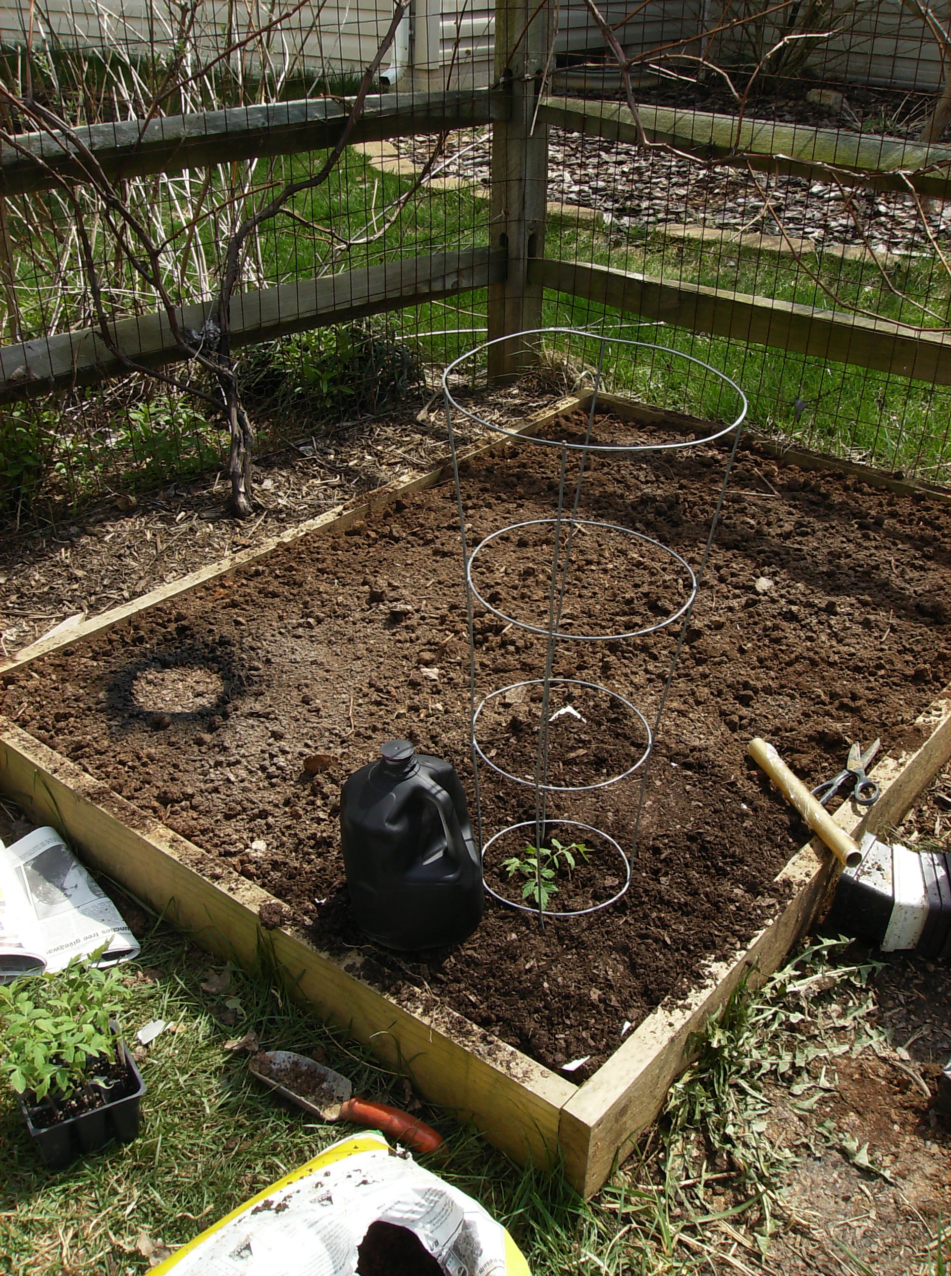 How to Quickly Build a HotHouse Tomato Cage 6 Steps Instructables