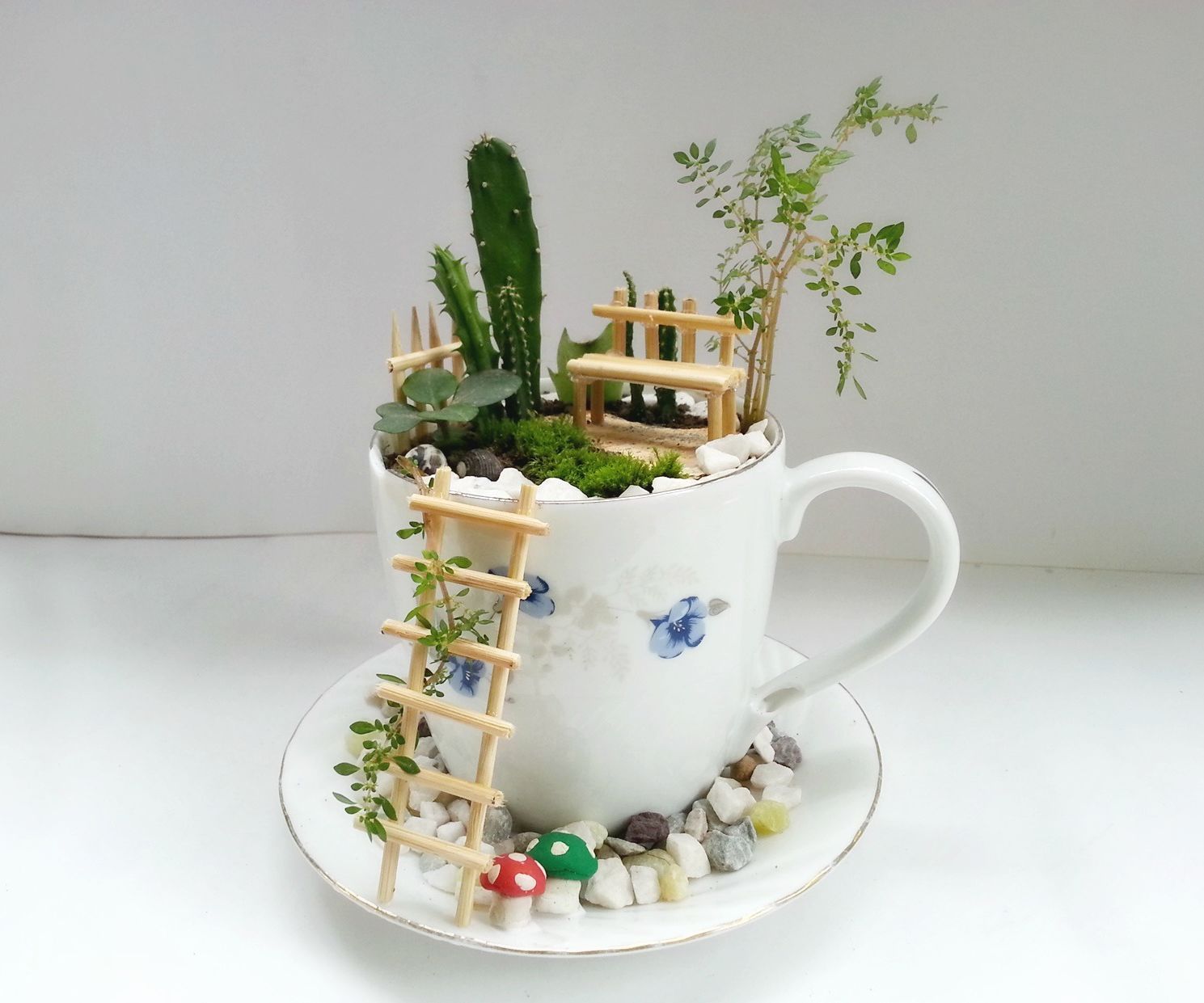DIY Cup Garden