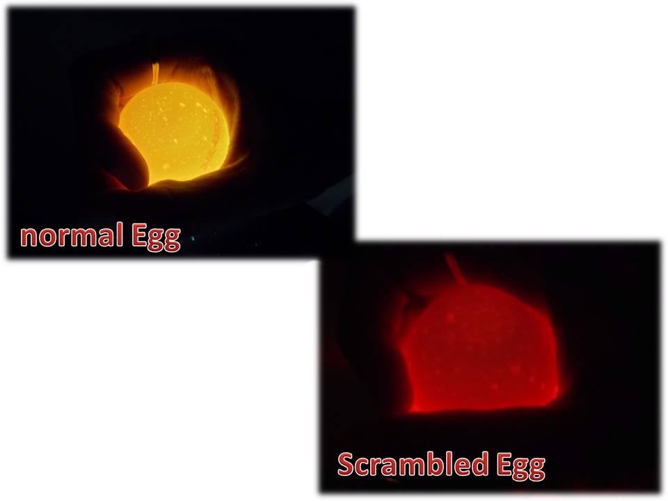 Scrambled Egg (Golden Egg) Without BREAKING the EGG! Navra Kitchen