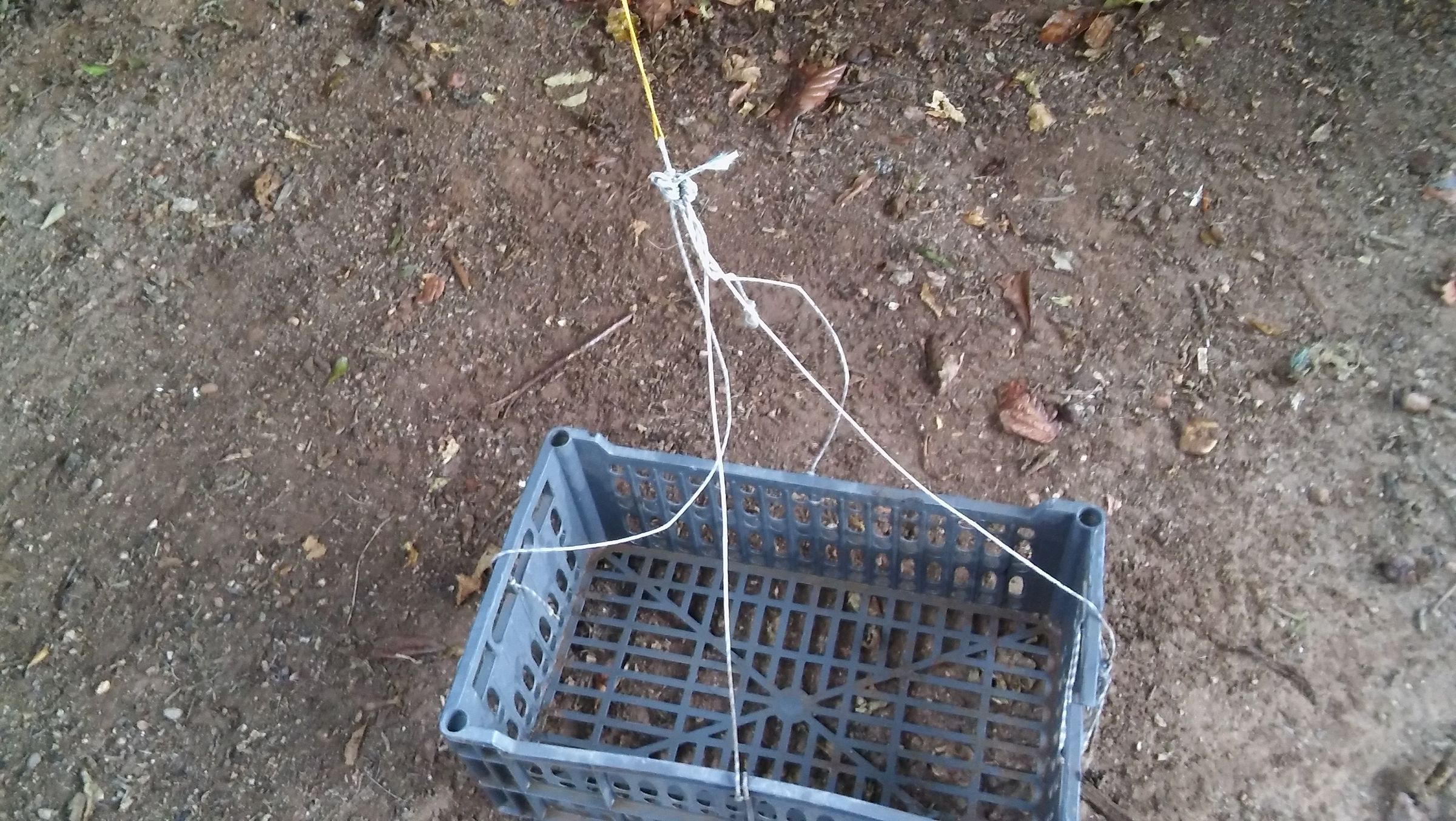 Treehouse Elevator 3 Steps (with Pictures) Instructables