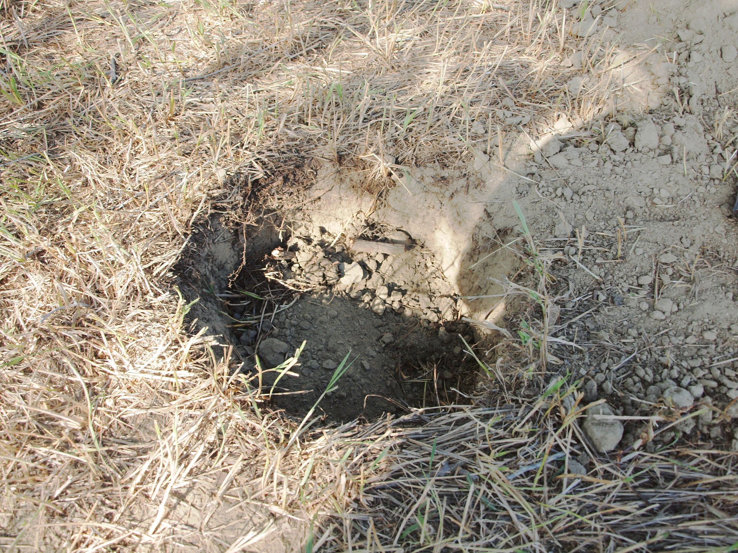 How Deep Do You Need To Bury A Dog