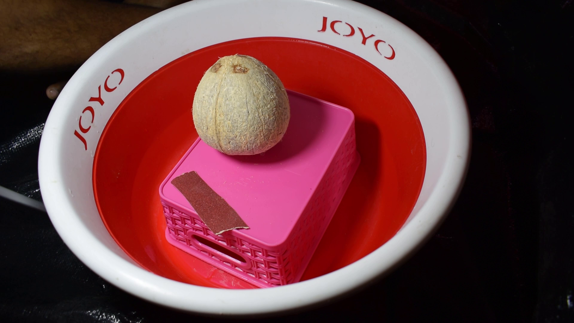 How to Make Cup From Coconut DIY Coconut Cup 11 Steps Instructables