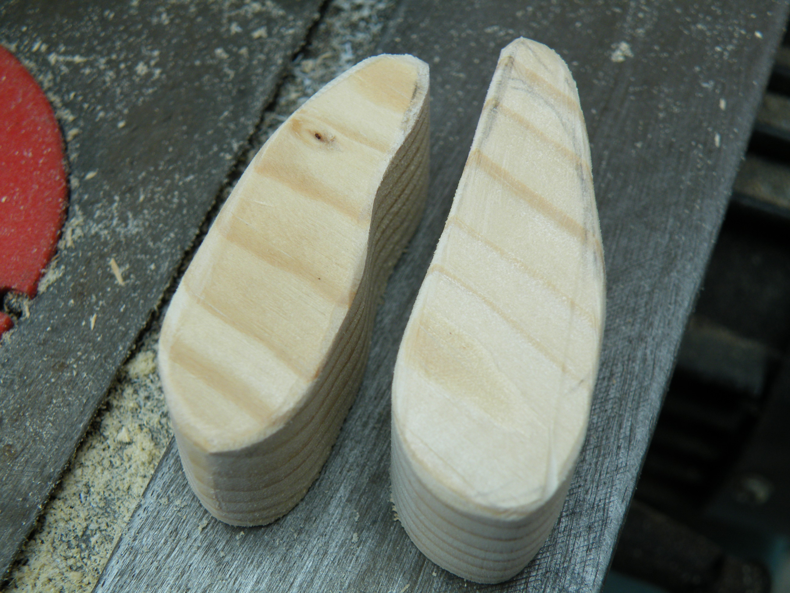 Animal Tracks for Plaster Casting. 5 Steps (with Pictures