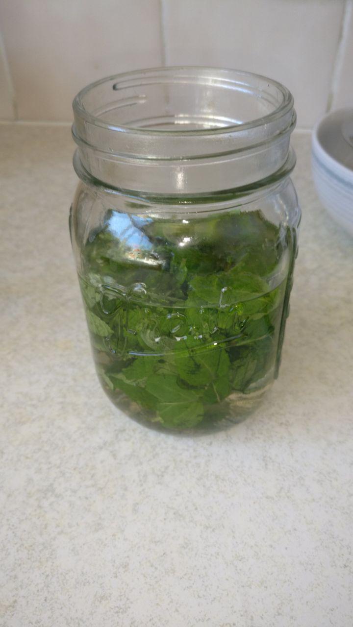 Mojito Rum/ Mint Extract From Fresh Mint 7 Steps Instructables