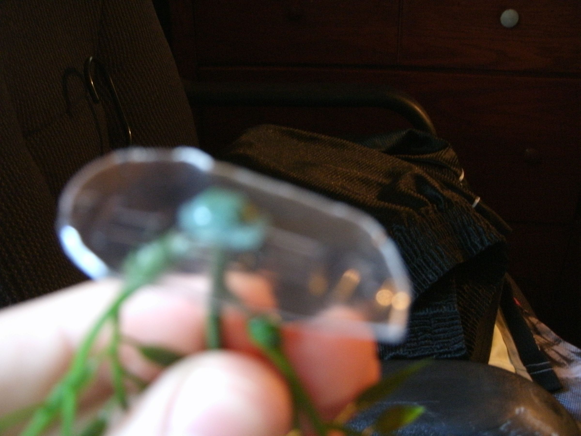 Cheap Artificial Aquarium Plants 6 Steps Instructables