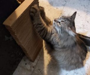 Furniture Protector/Cat Scratcher