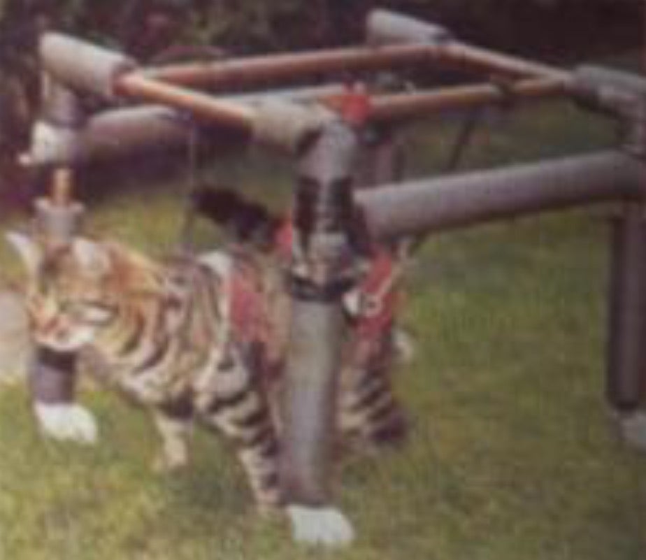 How to Make a Cat Wheelchair Instructables