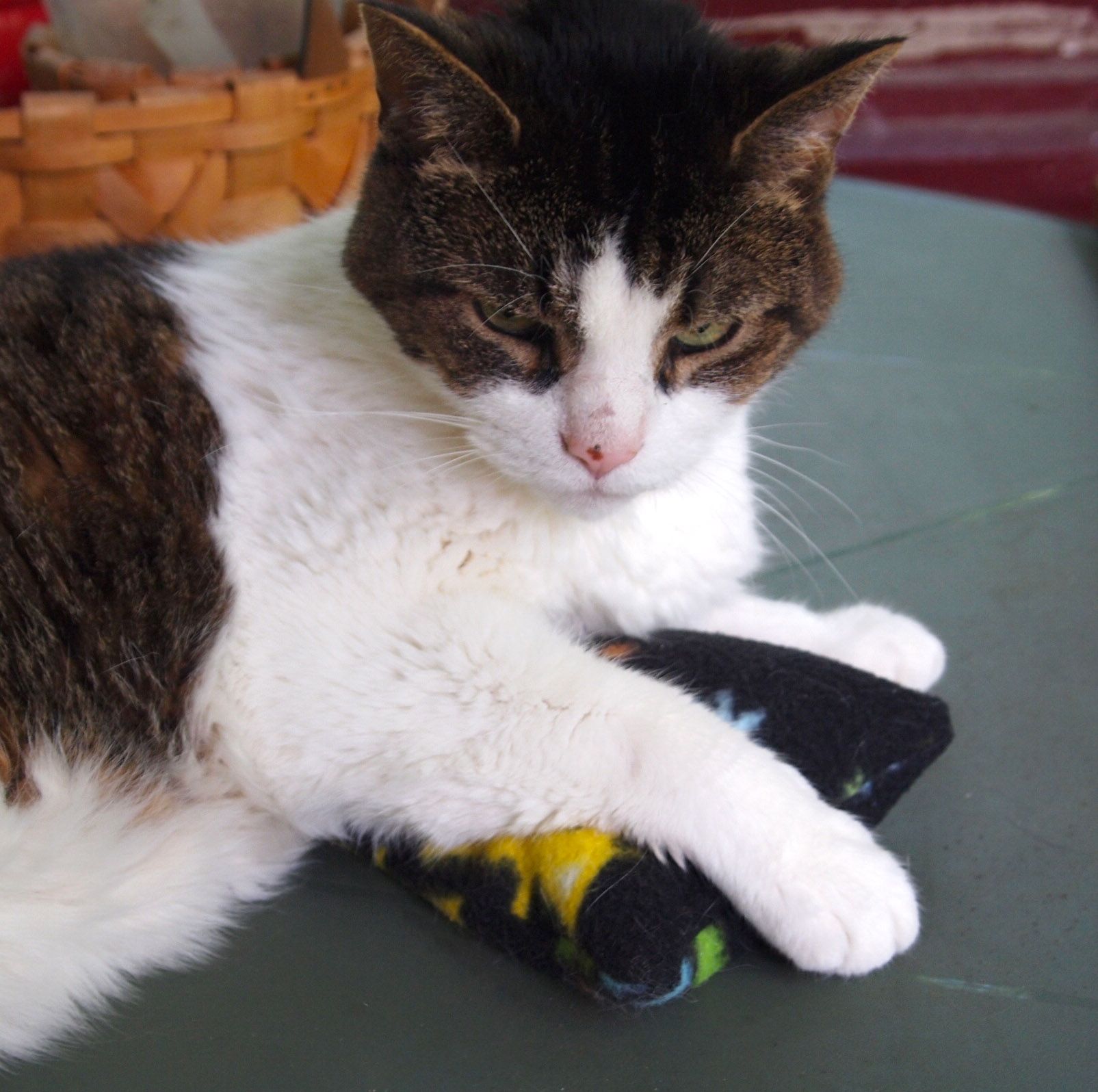 Catnip Pillows 3 Steps (with Pictures) Instructables