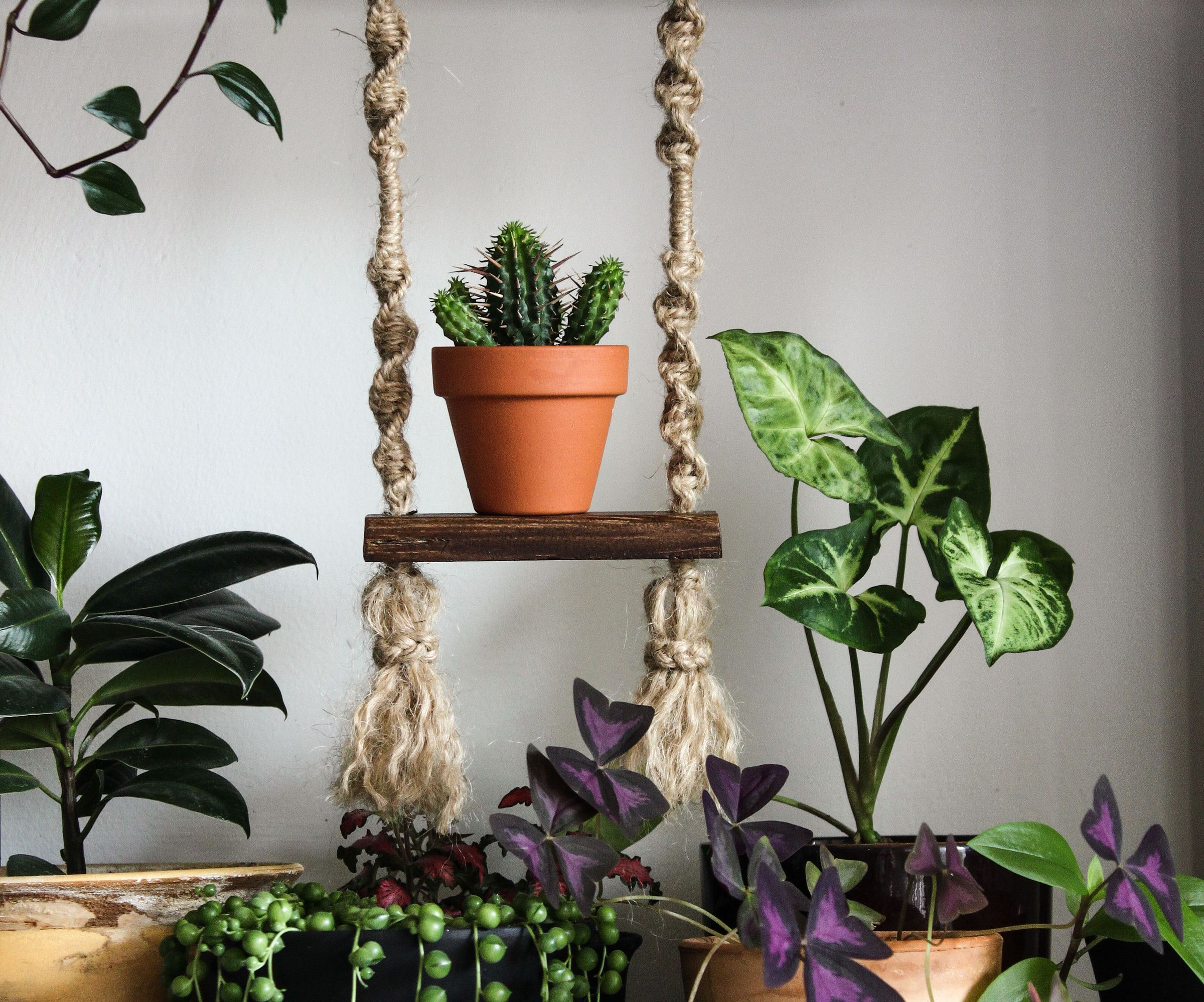 Swinging Pot