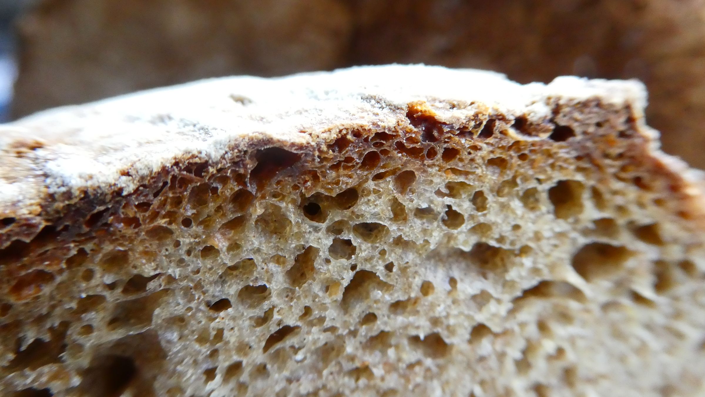 Pure Rye Bread 31 Steps (with Pictures) Instructables