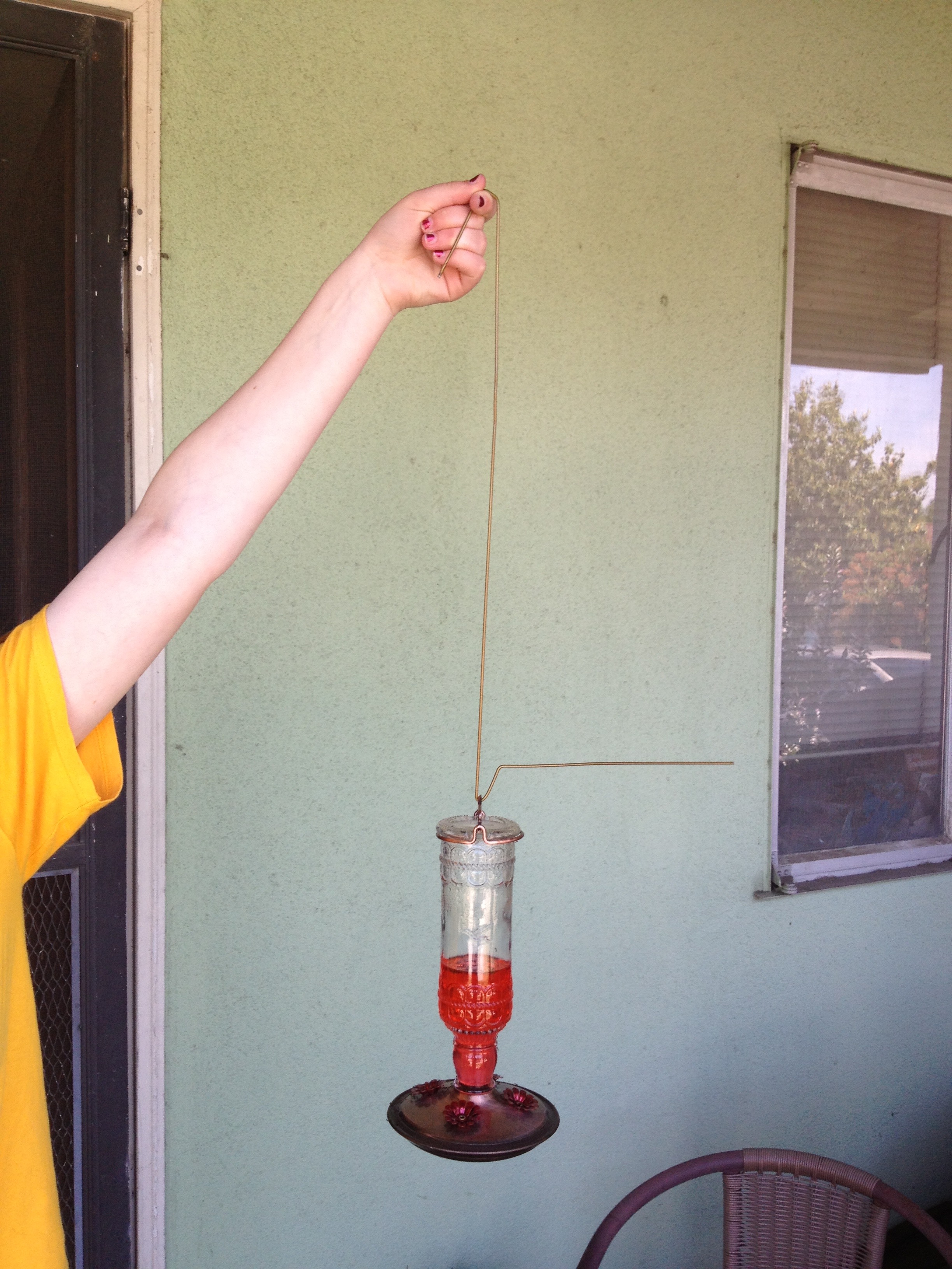 Hummingbird Feeder Hanger and Perch (with Optional Ant Trap) 17 Steps