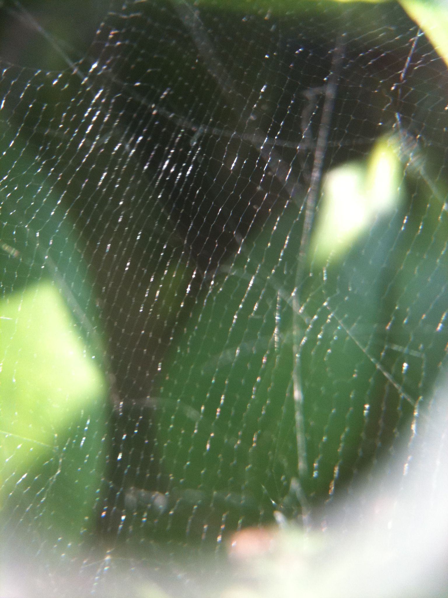 How to Make Spider Silk Thread 8 Steps (with Pictures) Instructables