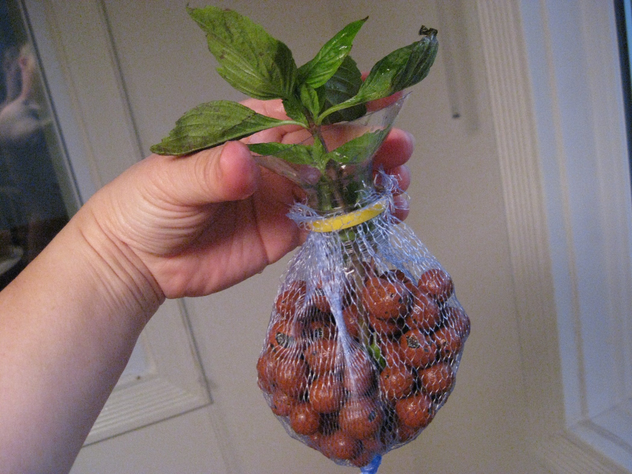 Simple DIY Hydroponics Net Pot/basket From Recycled Bottles 7 Steps