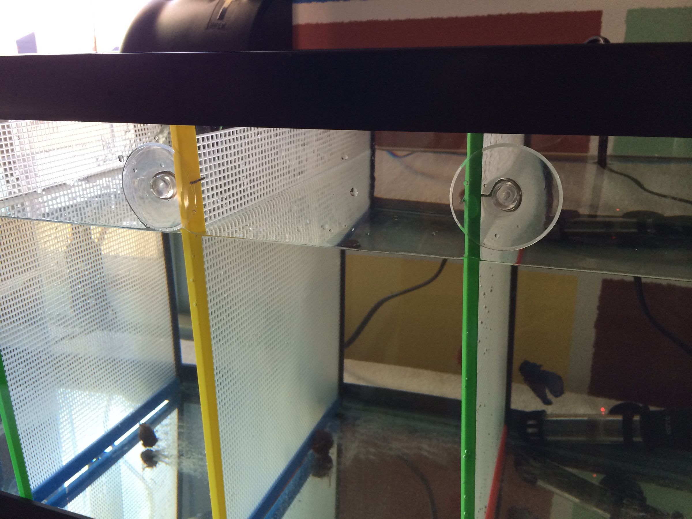 Diy Aquarium Divider / A Diy Divider Urgent My Aquarium Club In this