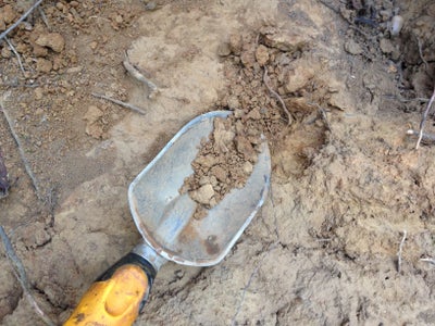 Processamento opcional...