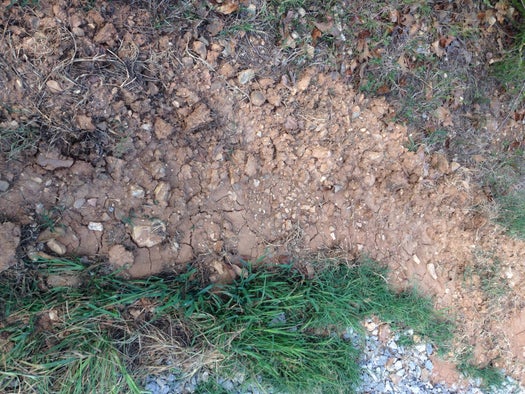 Saiba o que procurar...