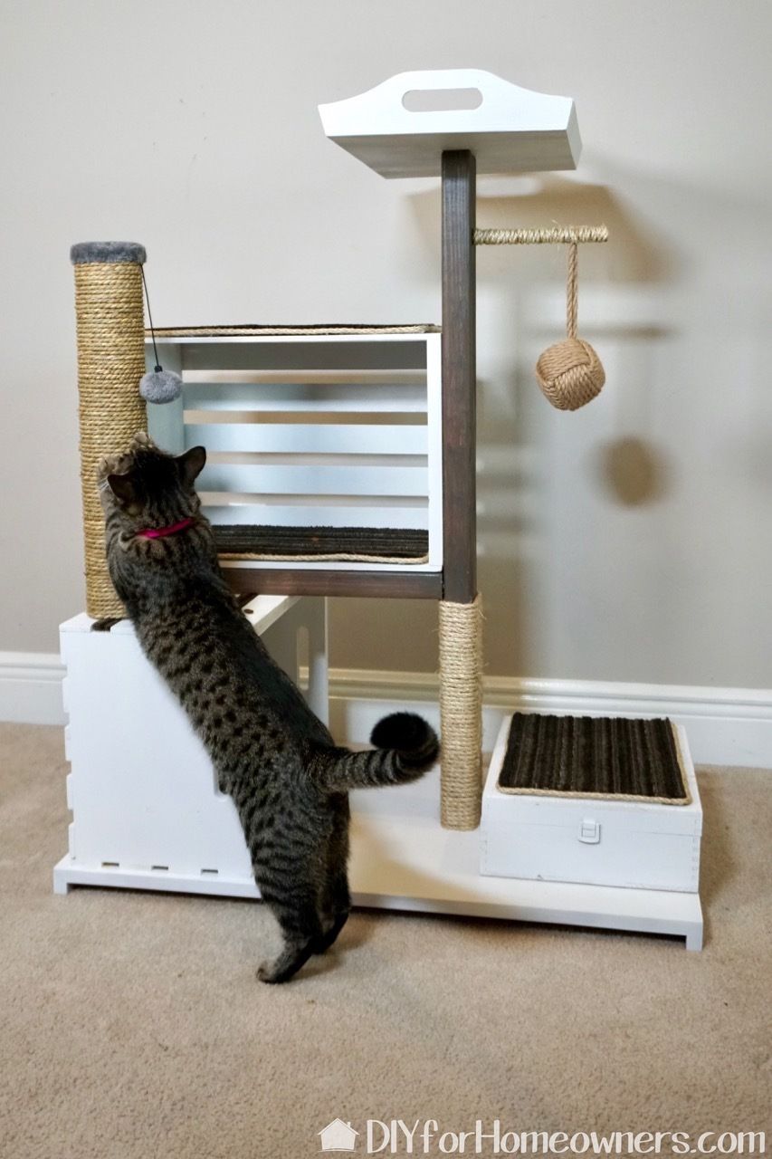 crate cat tree