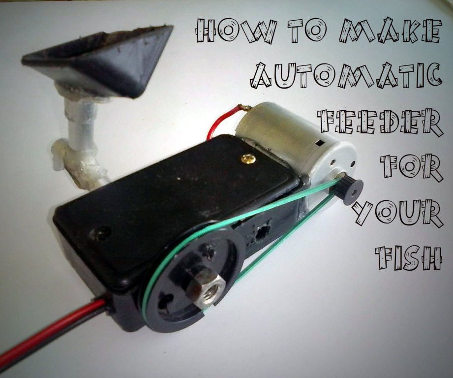 homemade automatic fish feeder