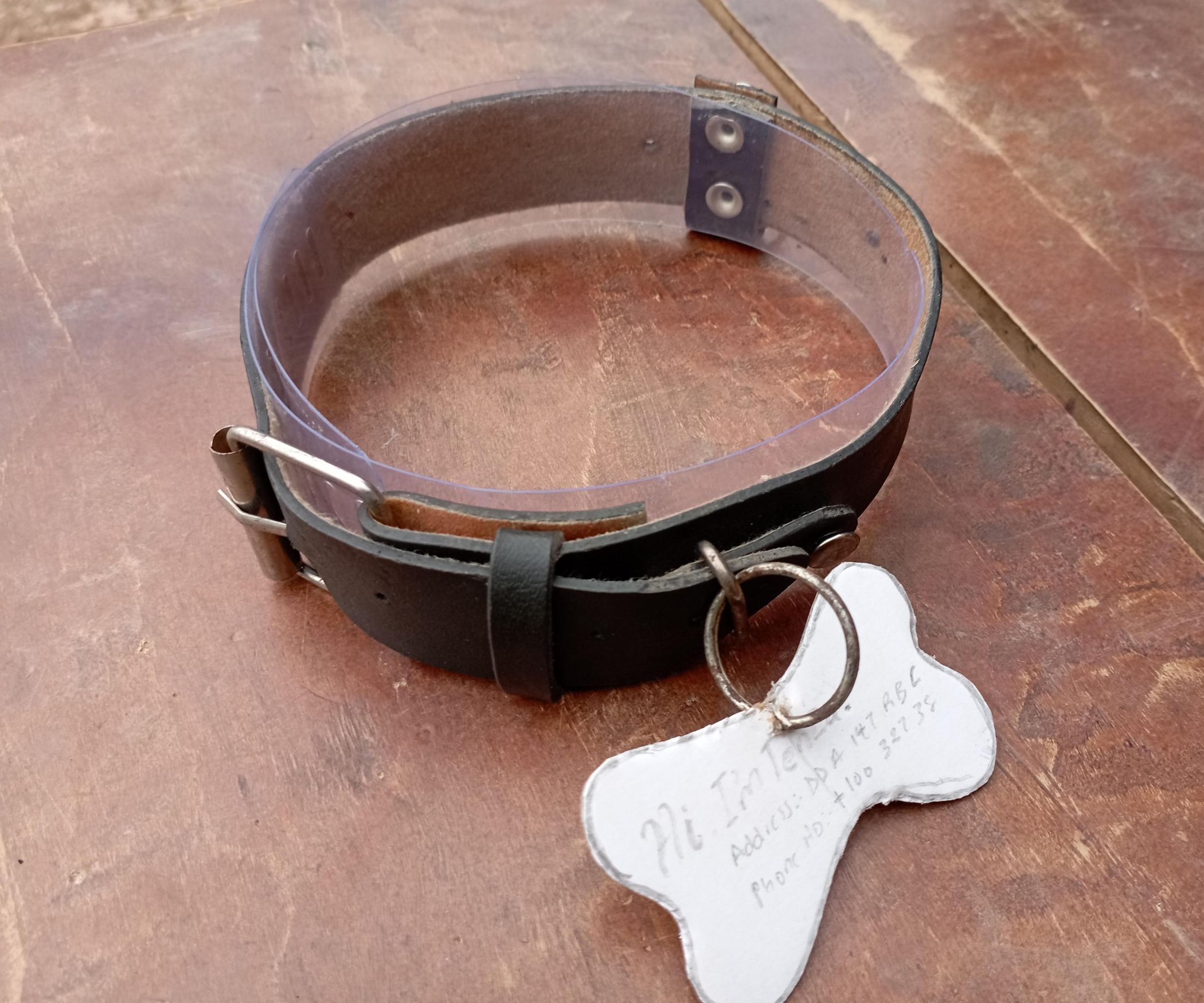 DIY Pet Collar Homemade Leather Pet Collar From Old Belts. 8 Steps
