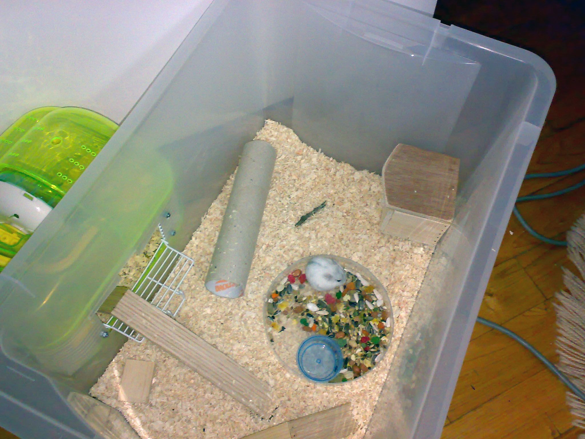 diy hamster tunnels