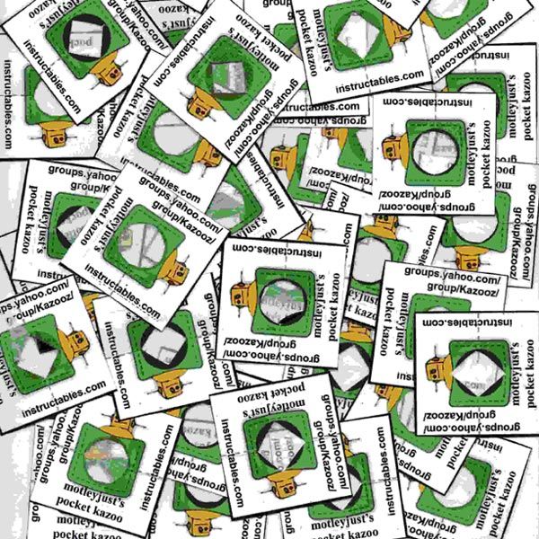 100 kazooz in my pocket DIY Project DIY Project Image