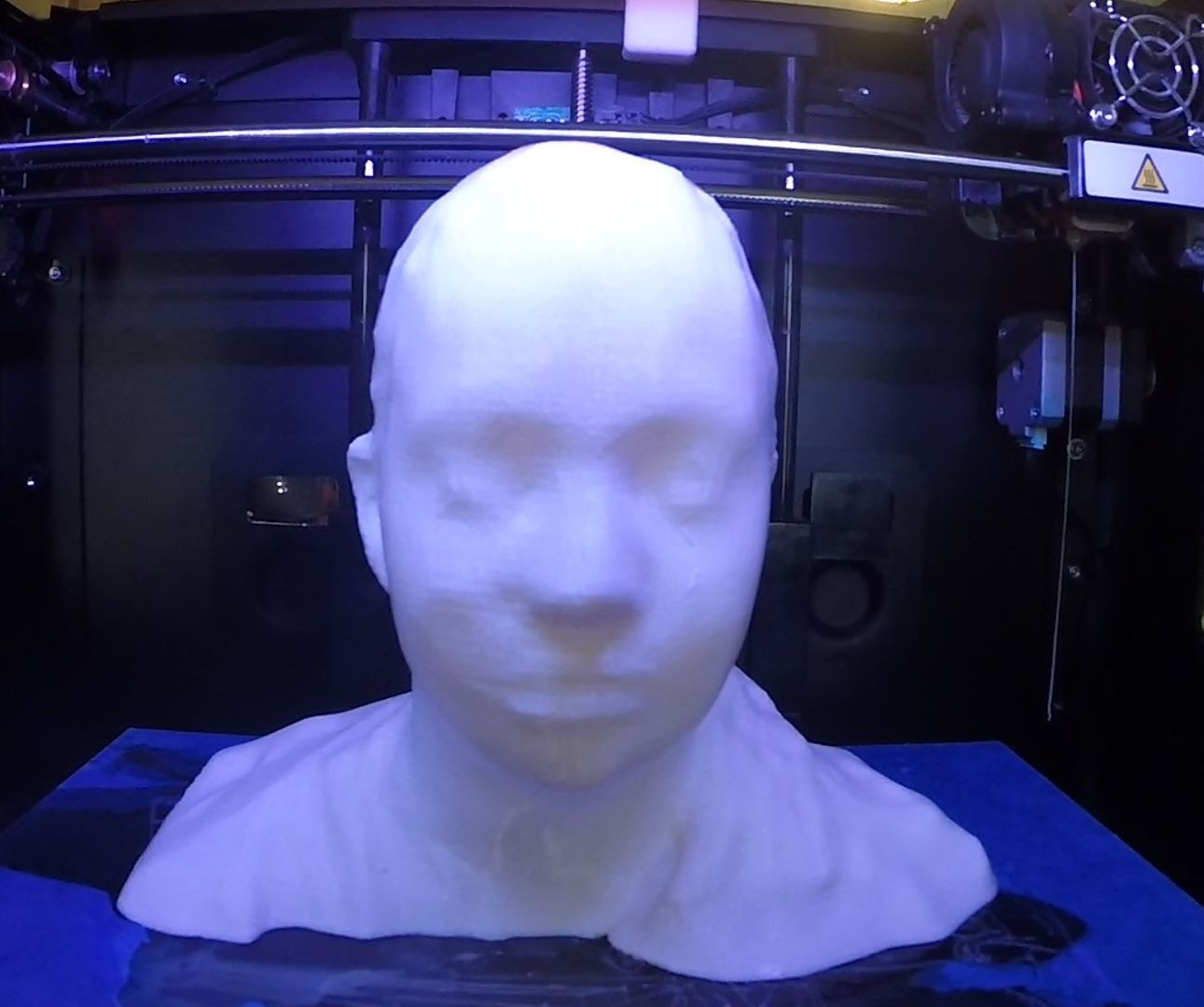 3d bust for blind deaf mother DIY Project DIY Project Image