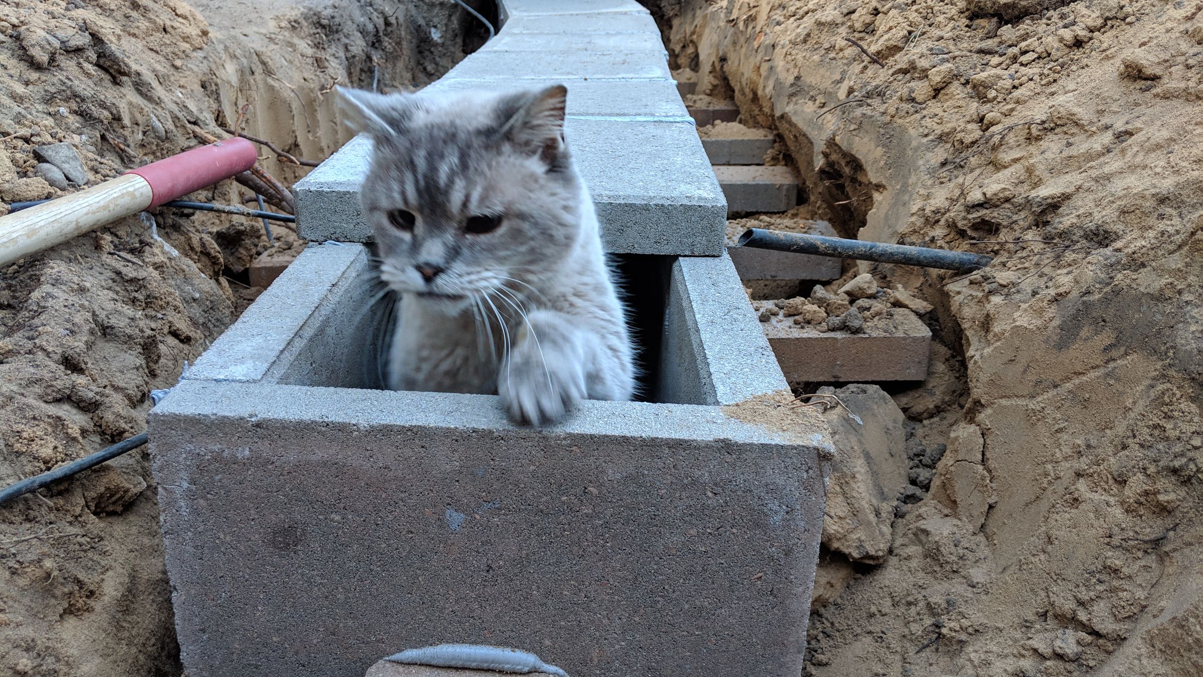 Underground Cat Tunnel 18 Steps Instructables
