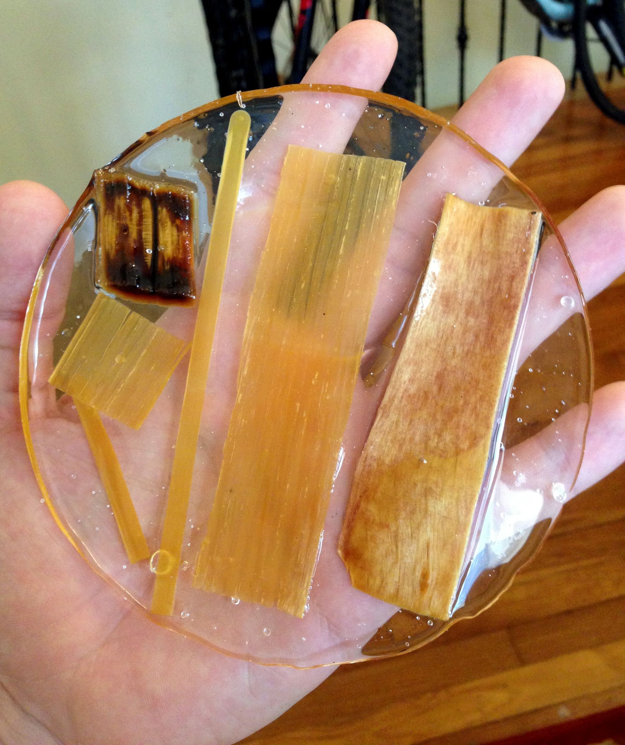 Transparent Wood : 10 Steps (with Pictures) - Instructables