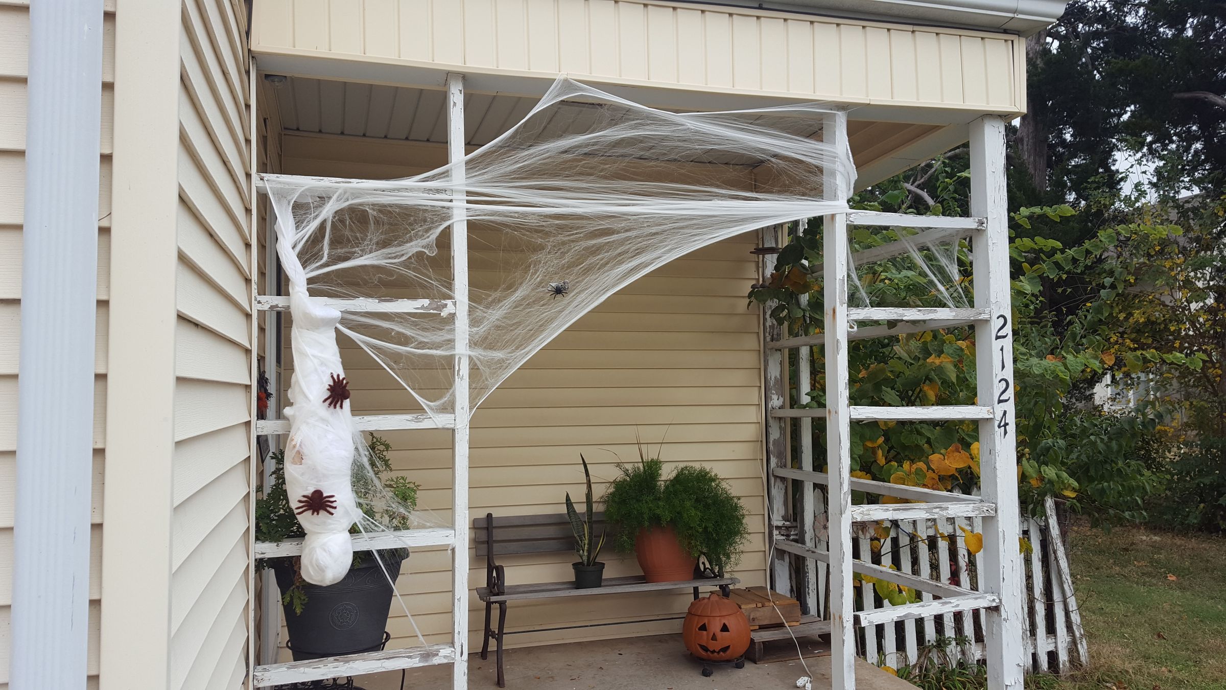 Spider Cocoon Kid