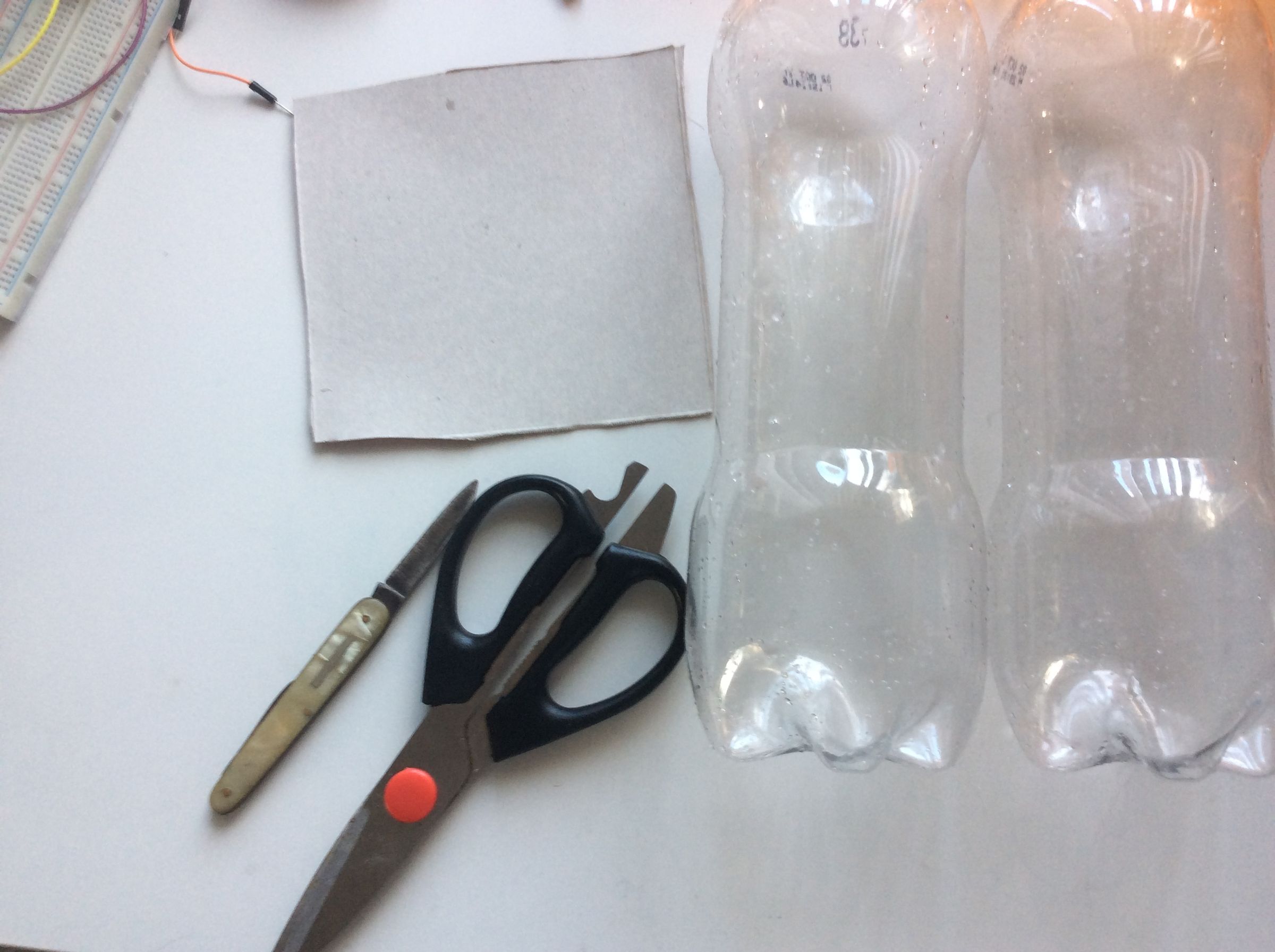 diy automatic cat feeder