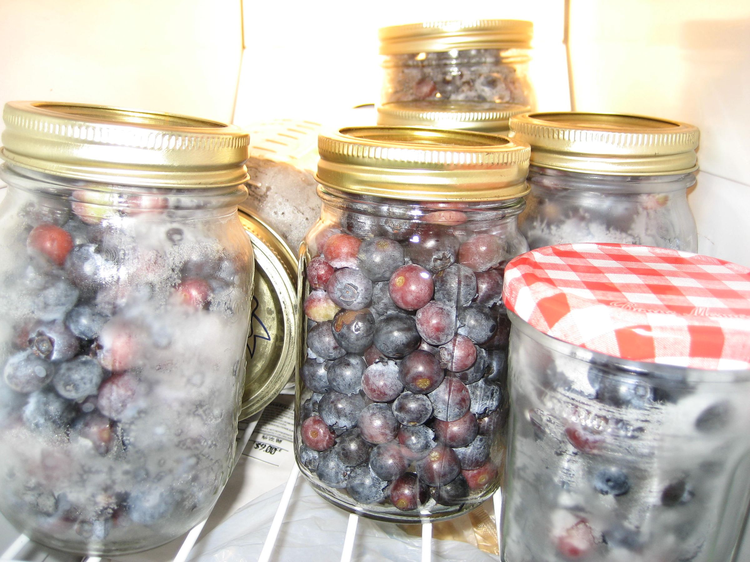 How to Freeze Blueberries 5 Steps (with Pictures) Instructables