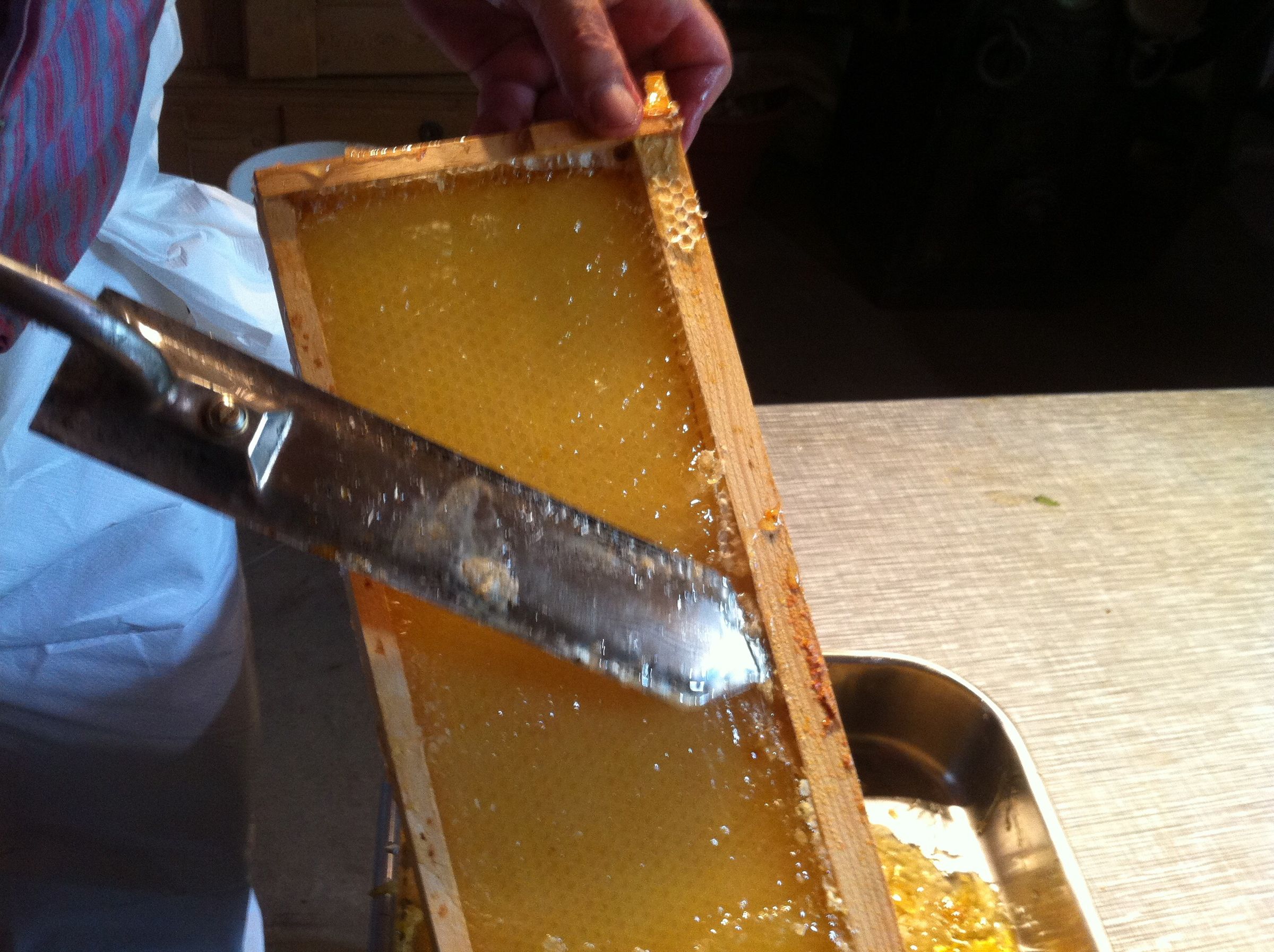 Harvesting Honey 15 Steps (with Pictures) Instructables