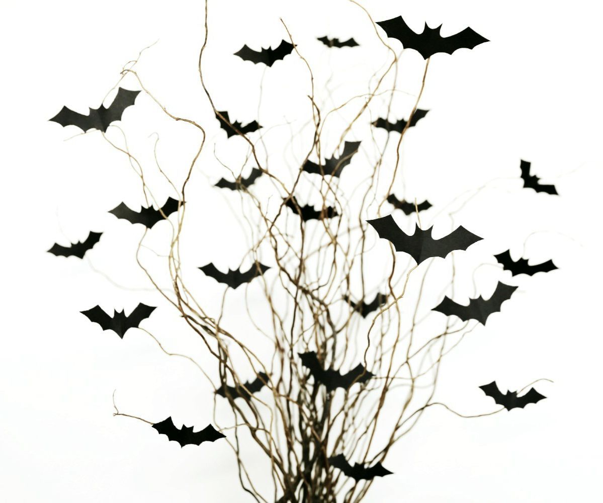 Bat Bouquet