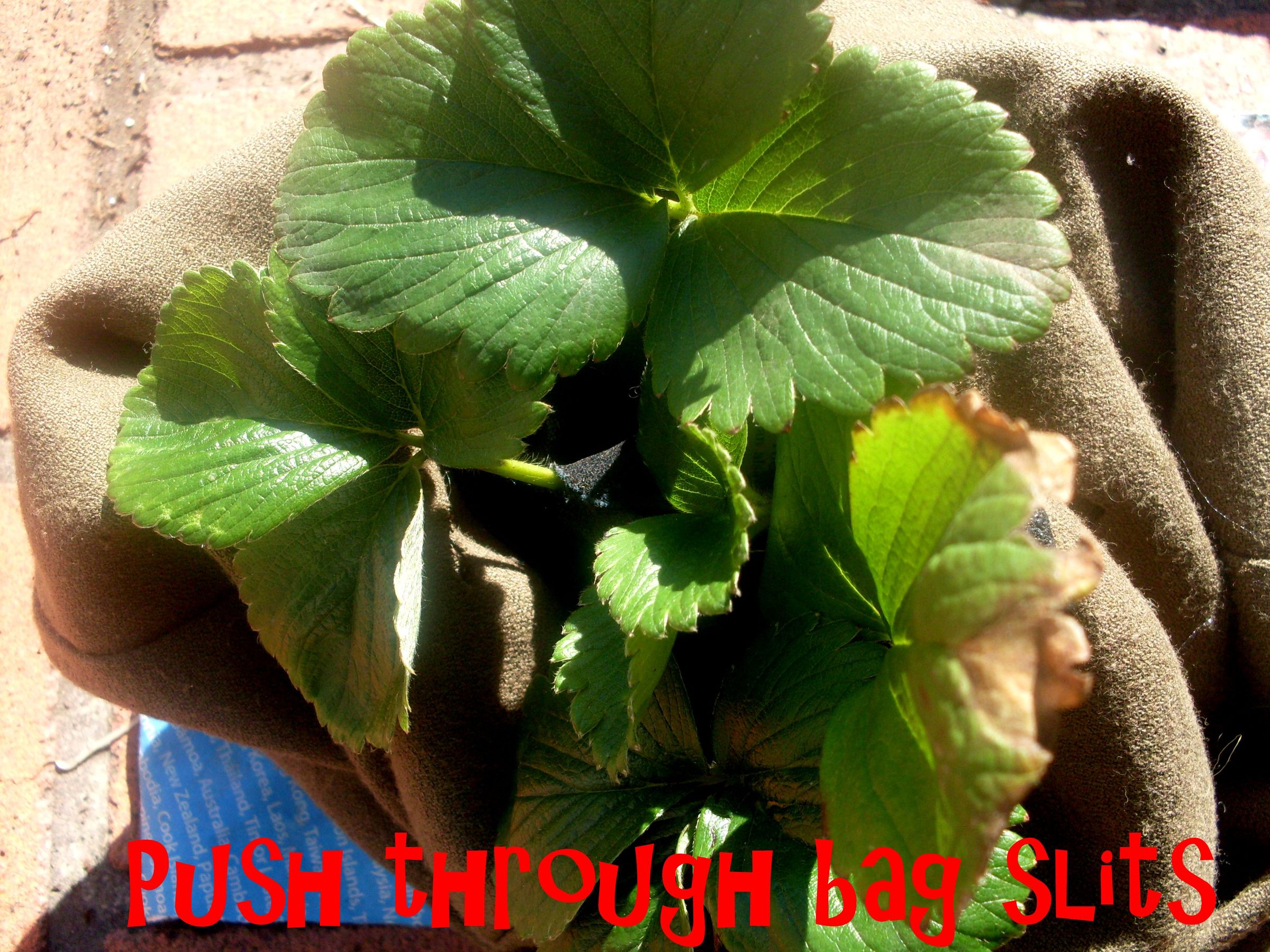 Sew a GrowBag or Upside Down Planter Bag (with Pictures) Instructables