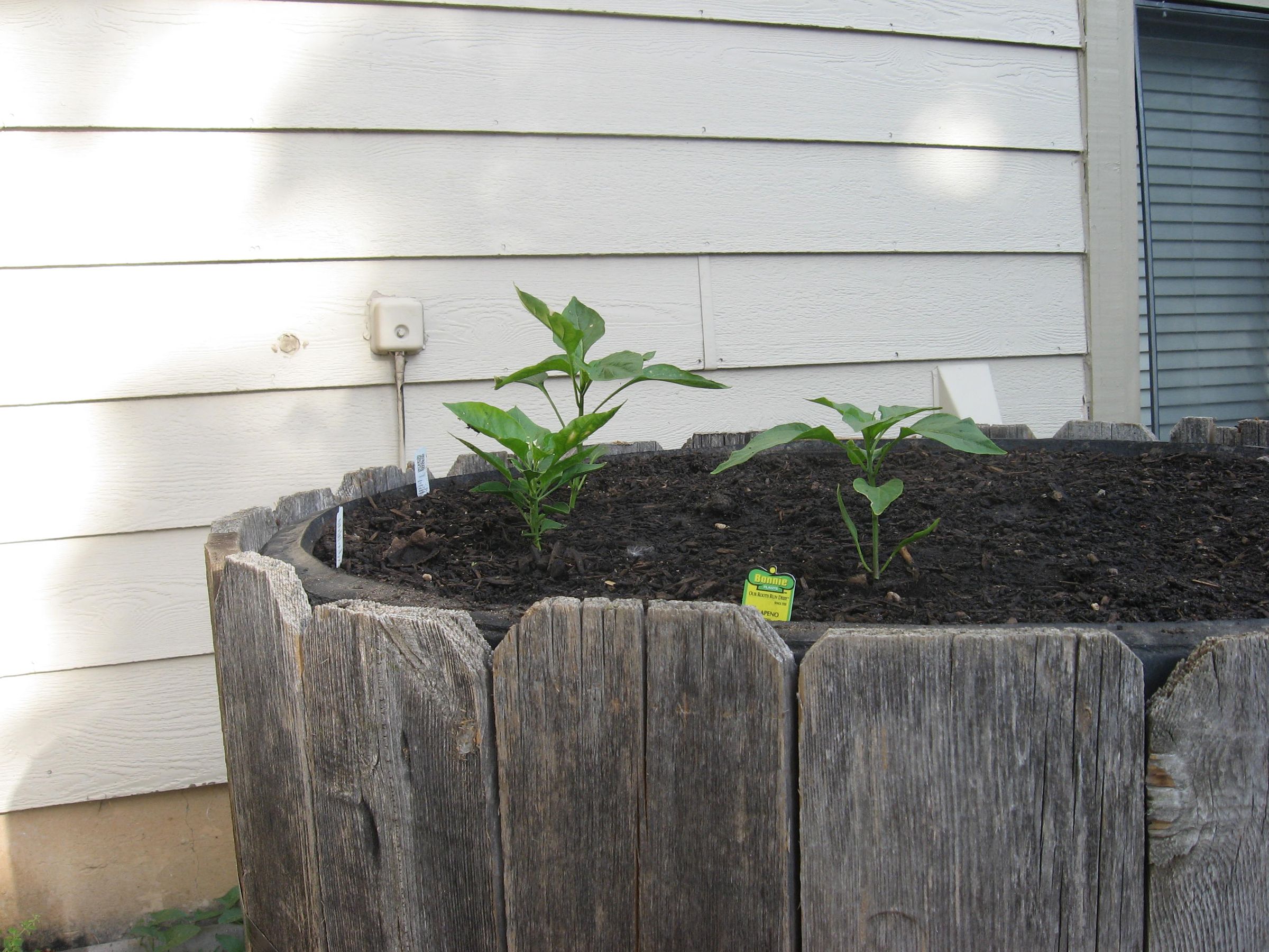 build a raised bed garden from tires DIY Project DIY Project Image