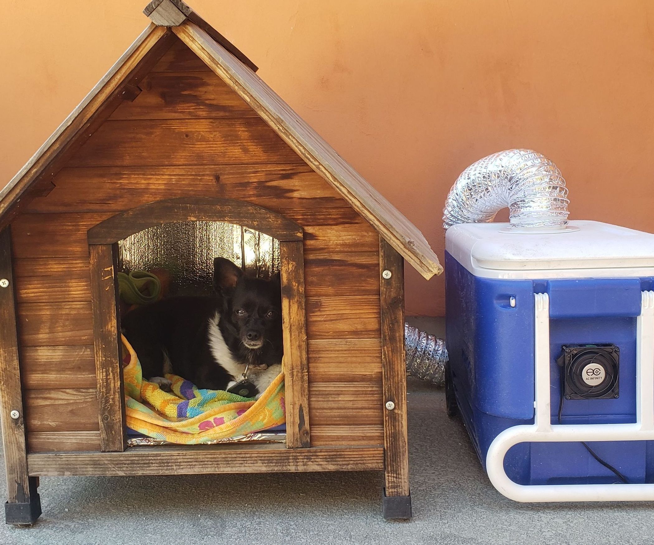 Hot Dog House UPDATED! Keeping Your Fuzzy Friend Cool All Summer Long