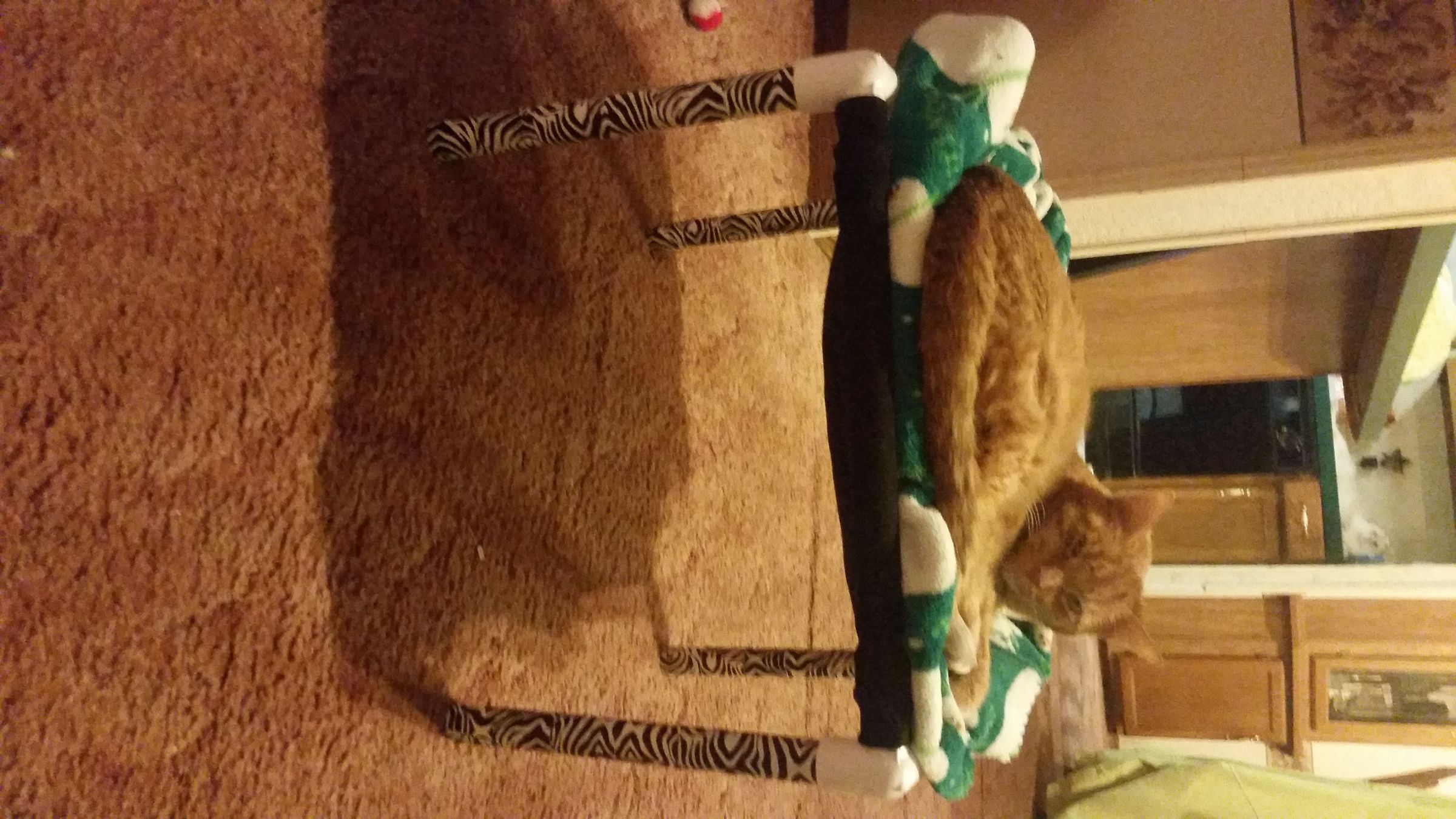 PVC Cat Hammock 3 Steps Instructables