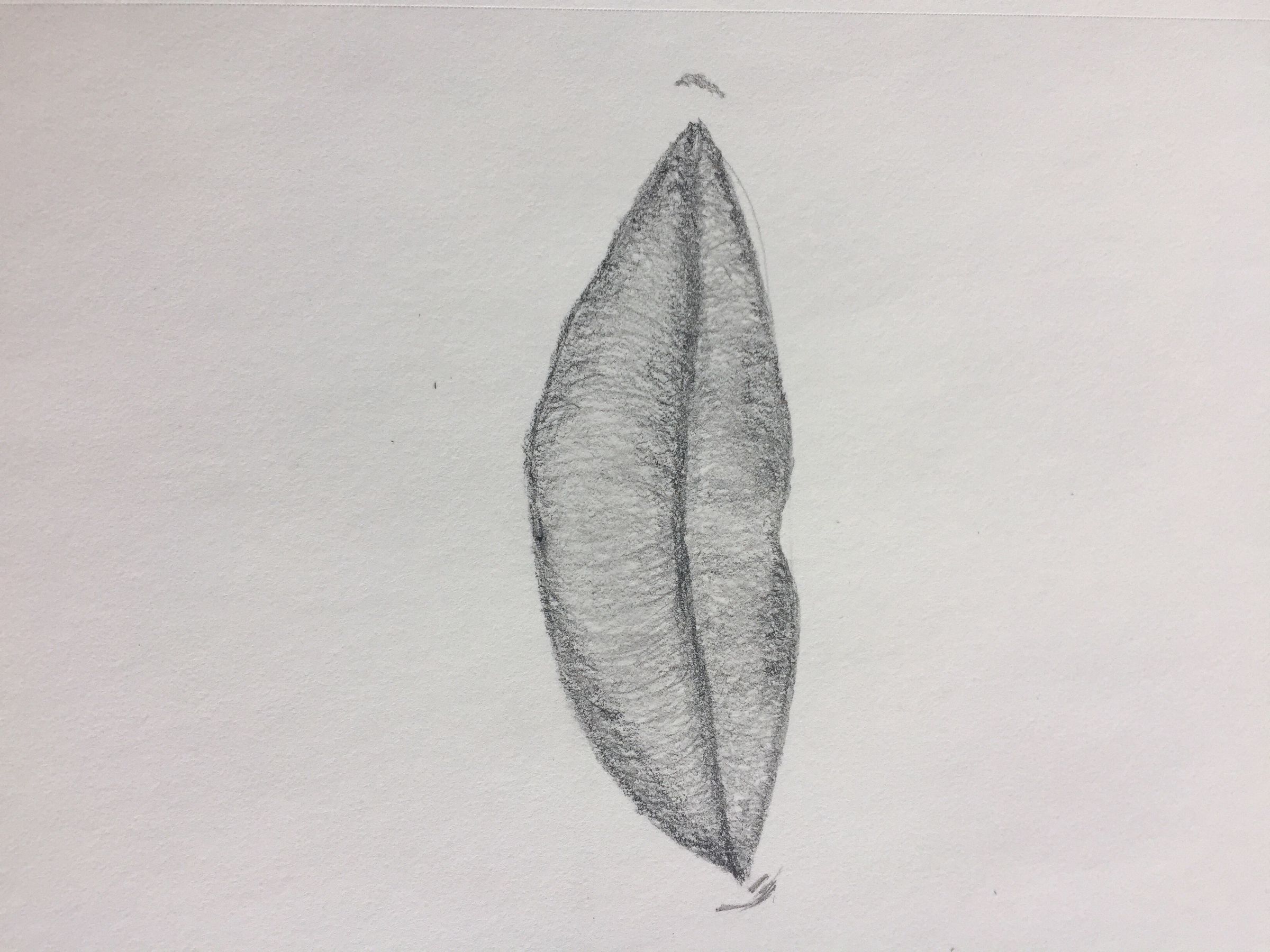 How To Draw Lips 8 Steps Instructables