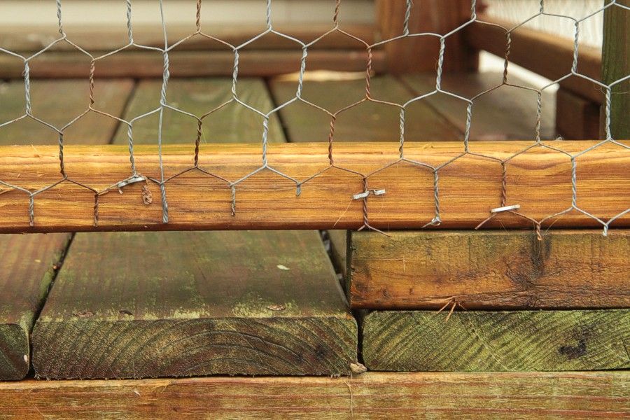 chicken wire cat enclosure