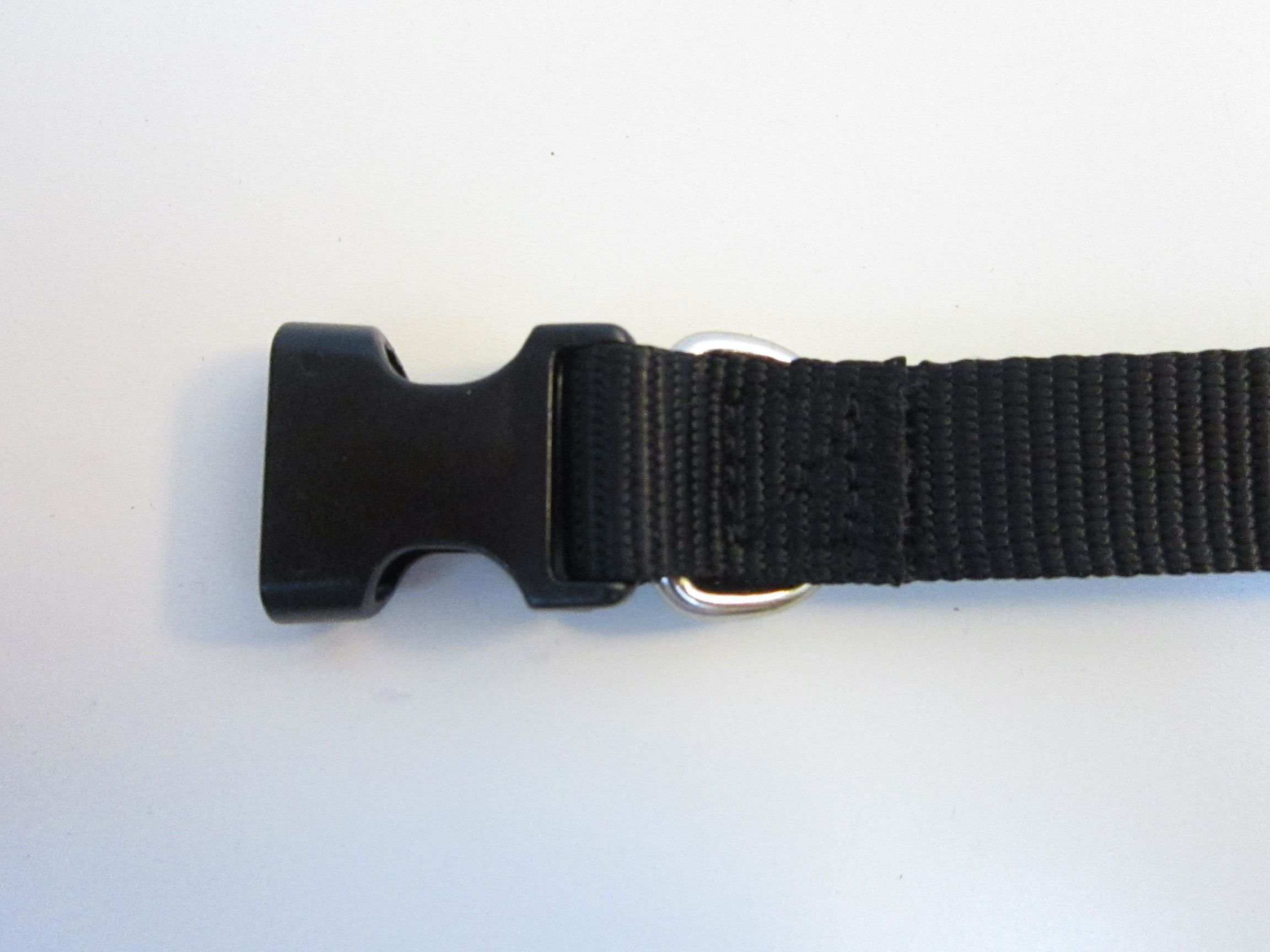 Upgrade a Dog Collar 6 Steps (with Pictures) Instructables