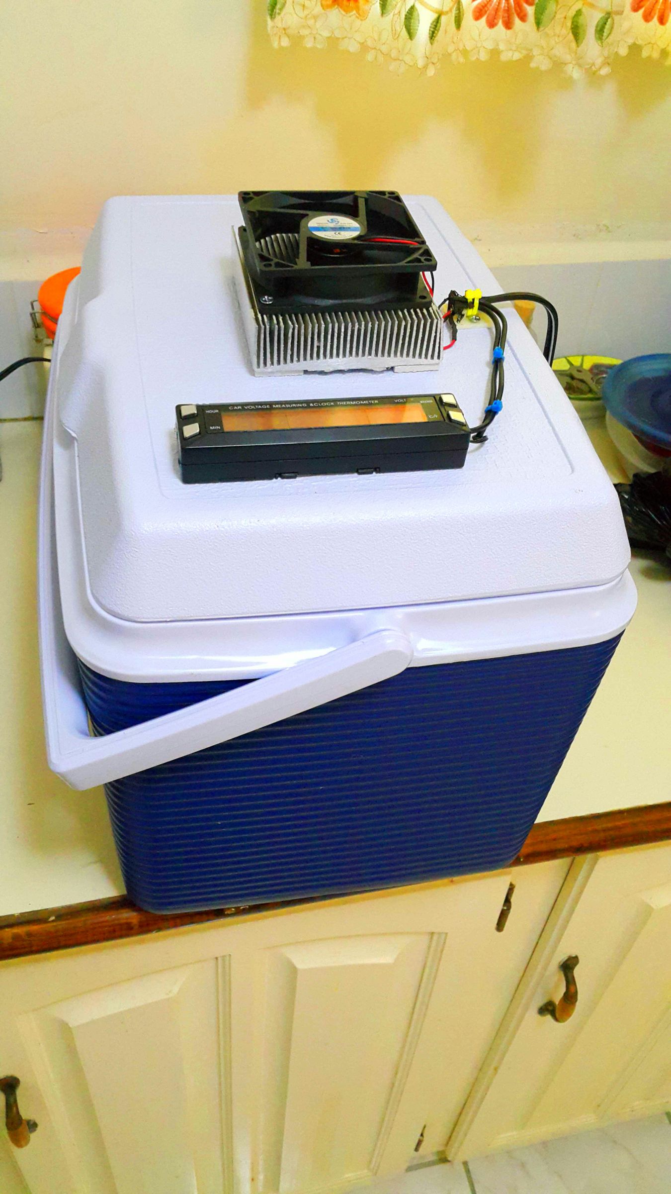My Diy Peltier Cooler! 9 Steps (with Pictures