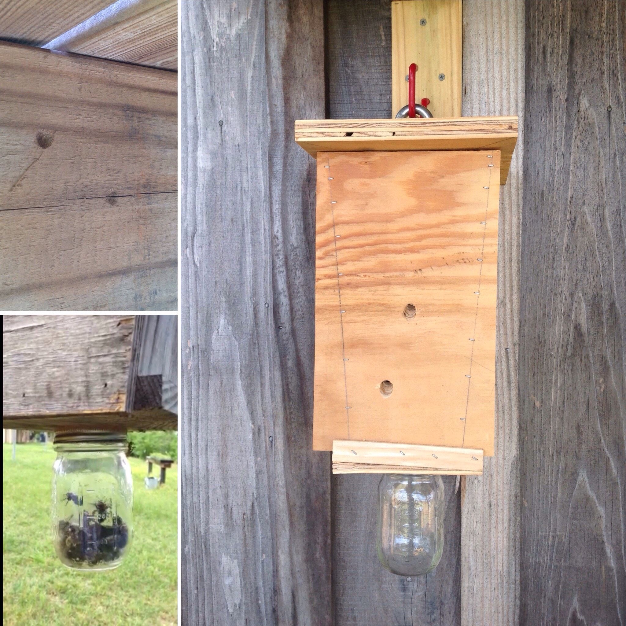 Carpenter Bee Trap 7 Steps (with Pictures) Instructables