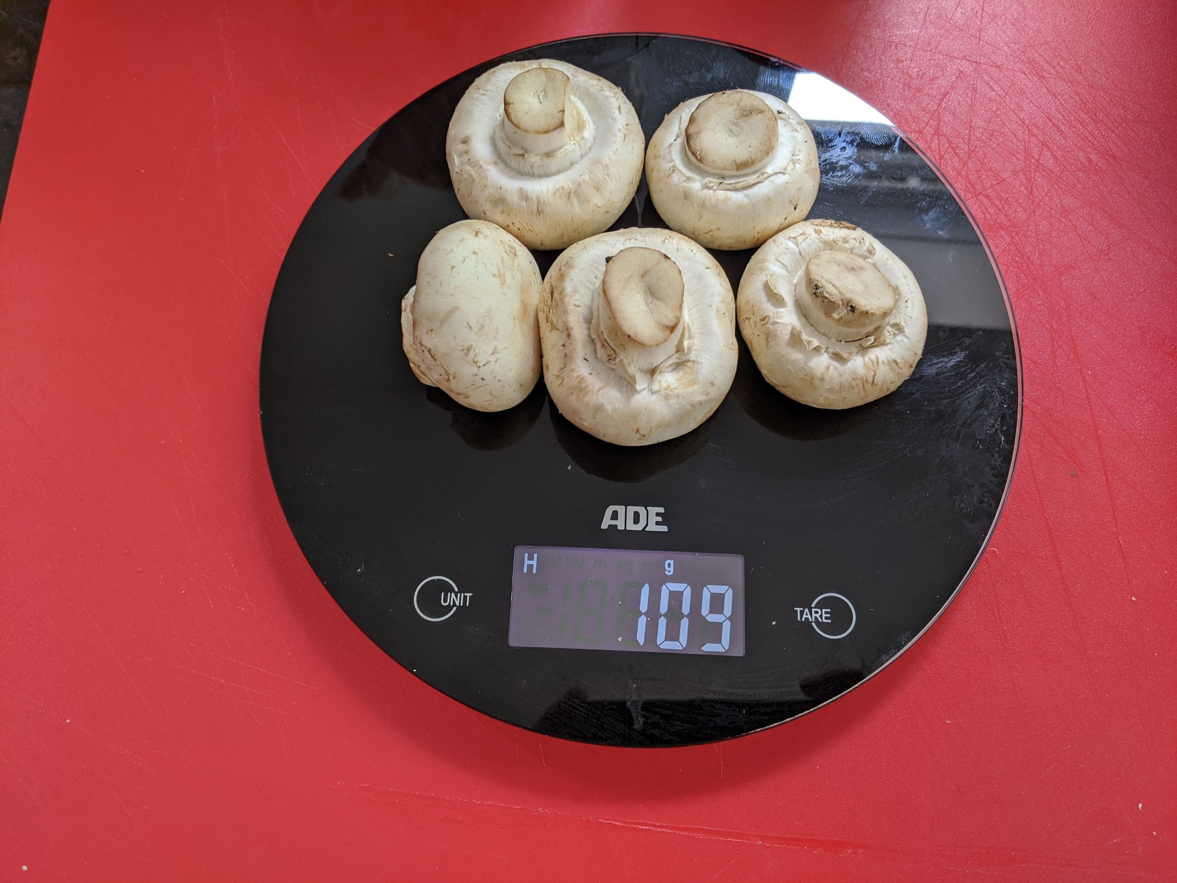 Mushroom Vitamin D Enhancement 7 Steps Instructables