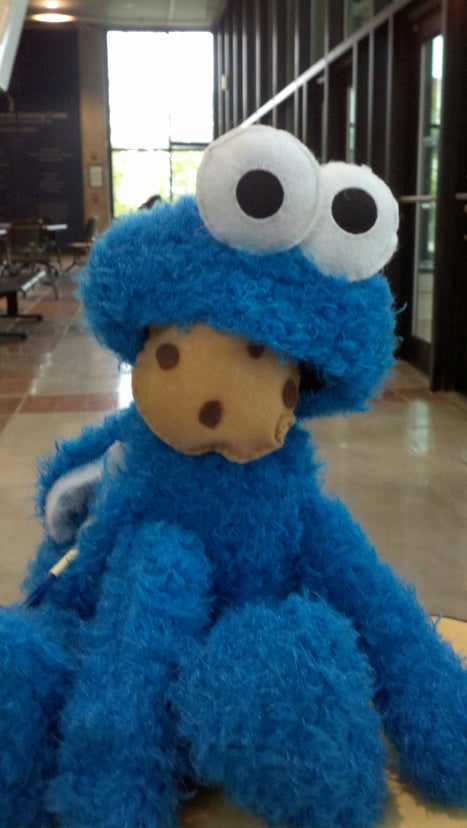 Cookie-Monster-Plush-Toy