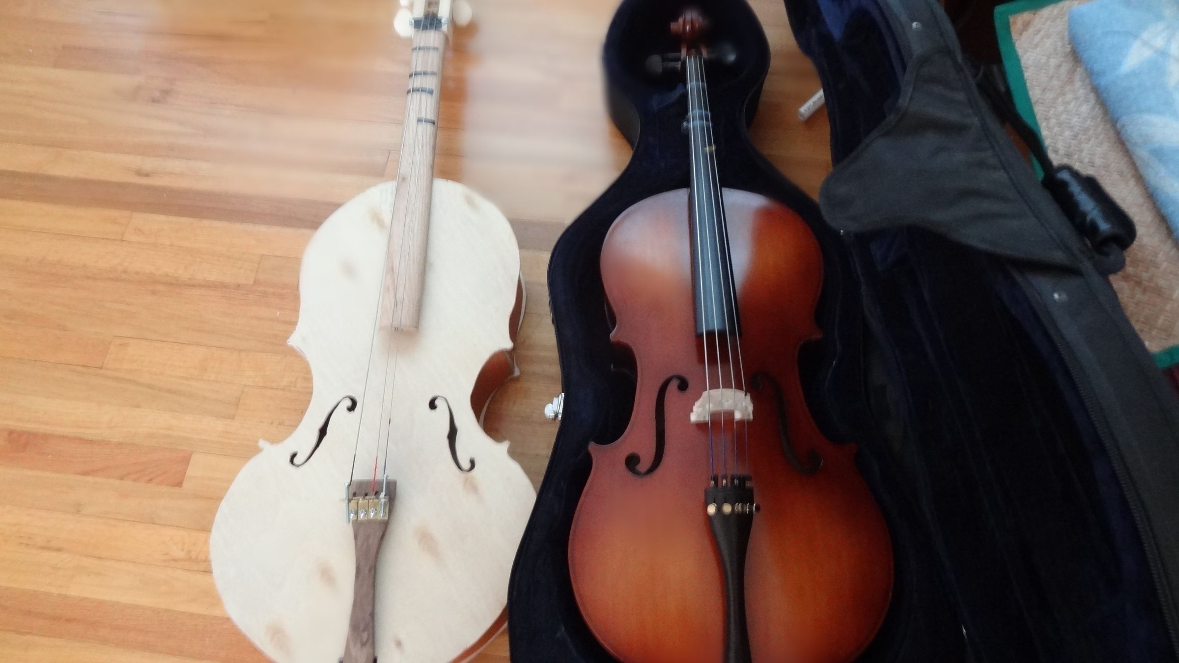 10 Easy Steps to Make Your Own Cello!